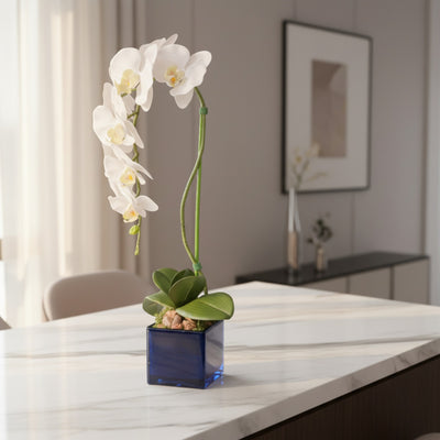 Artificial Single Stem White Orchid Arrangement in Blue Glass Cube Planter | Faux Phalaenopsis Floral Decor