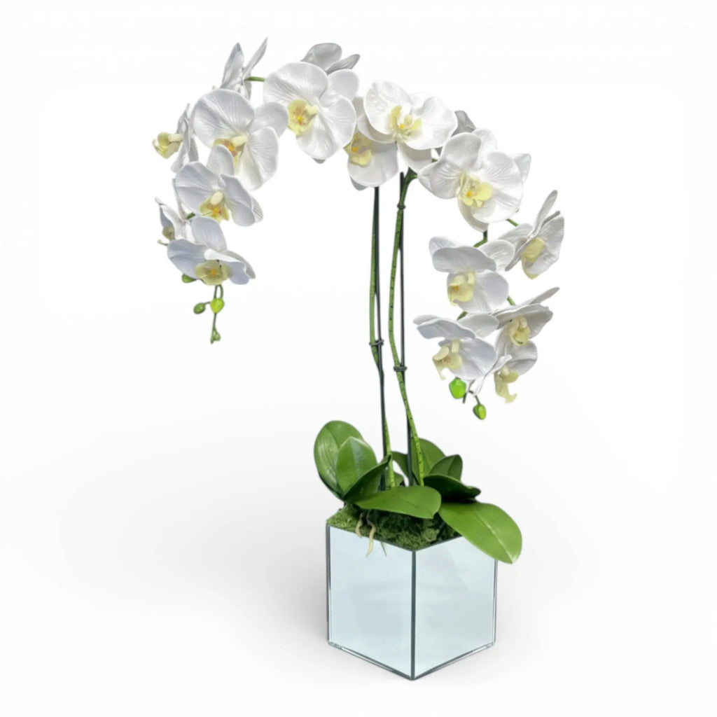 Artificial White Orchid Arrangement, Double Stem Real Touch Latex Phalaenopsis in Mirror Glass Cube Planter, Luxury Faux Orchid for Modern Home & Office Decor The Room Collective