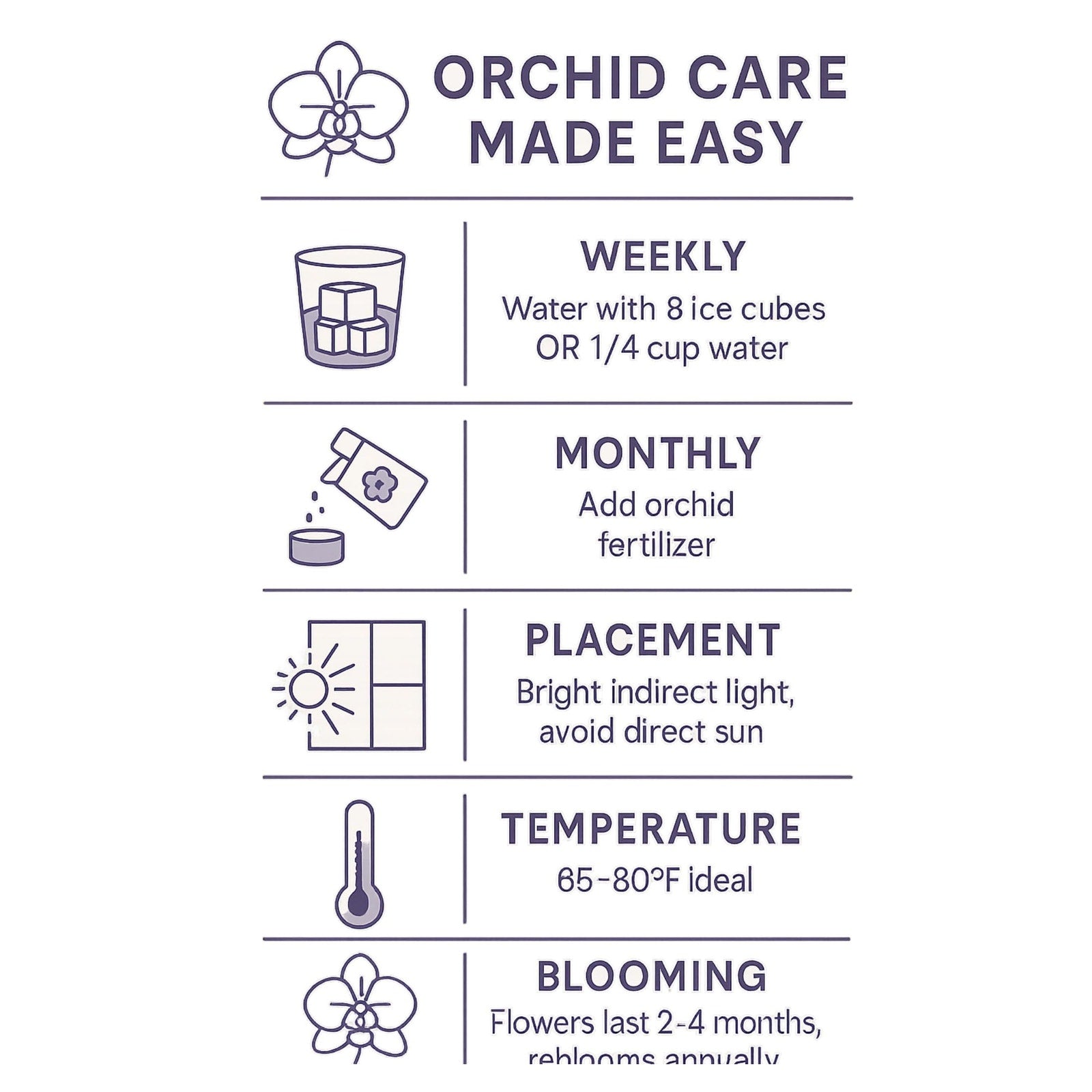 Live White Phalaenopsis Orchid Plant - Premium Indoor Flowering Orchid - Easy Care Home Decor Houseplant Gift - Birthday Present