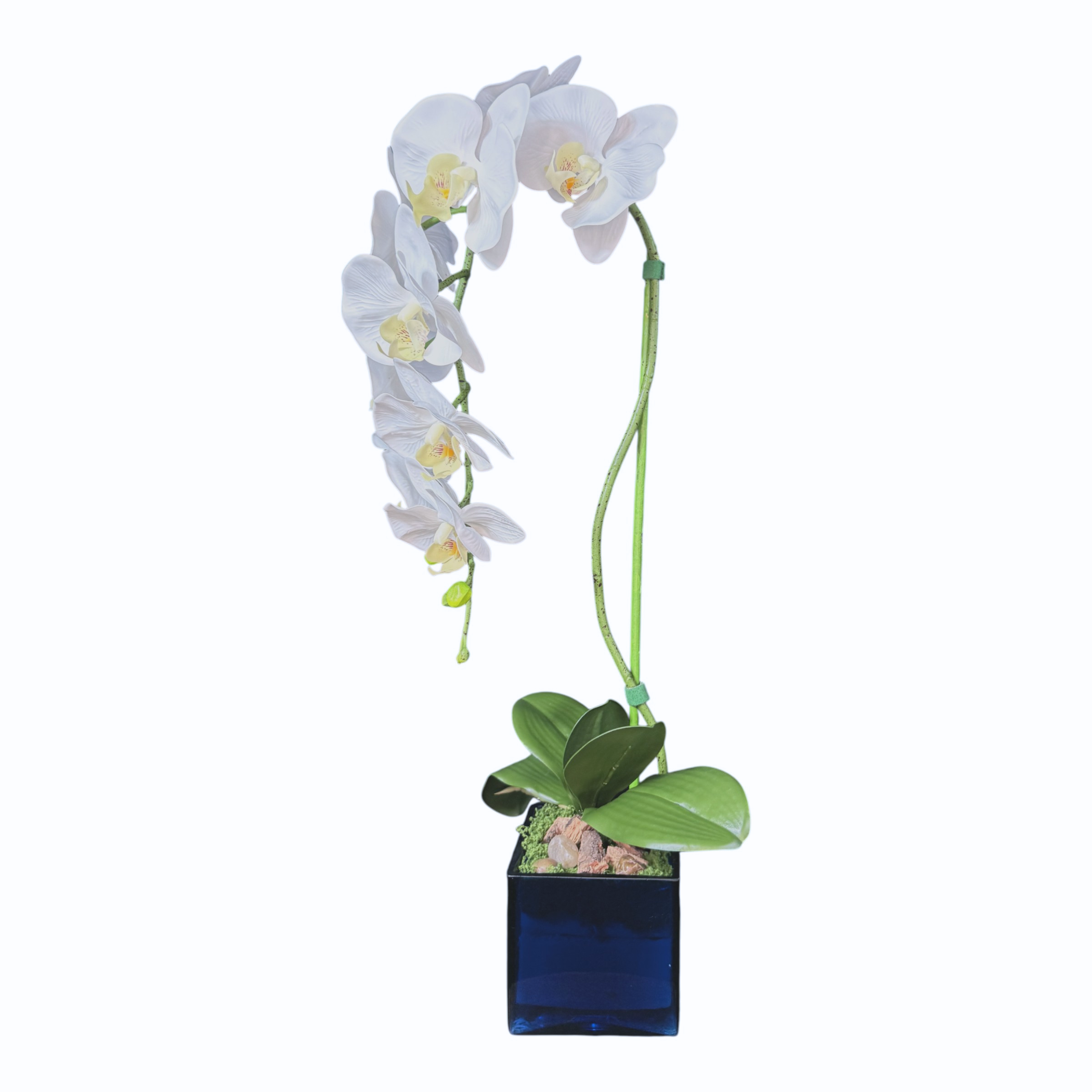 Artificial Single Stem White Orchid Arrangement in Blue Glass Cube Planter, Faux Phalaenopsis Floral Decor, Modern Home Office Desk Decoration