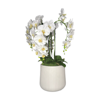 28 Inch Artificial White Orchid Arrangement, 4 Stem Phalaenopsis with Real Touch Latex Flowers, Textured White Pot with Faux Moss, Home Office Decor