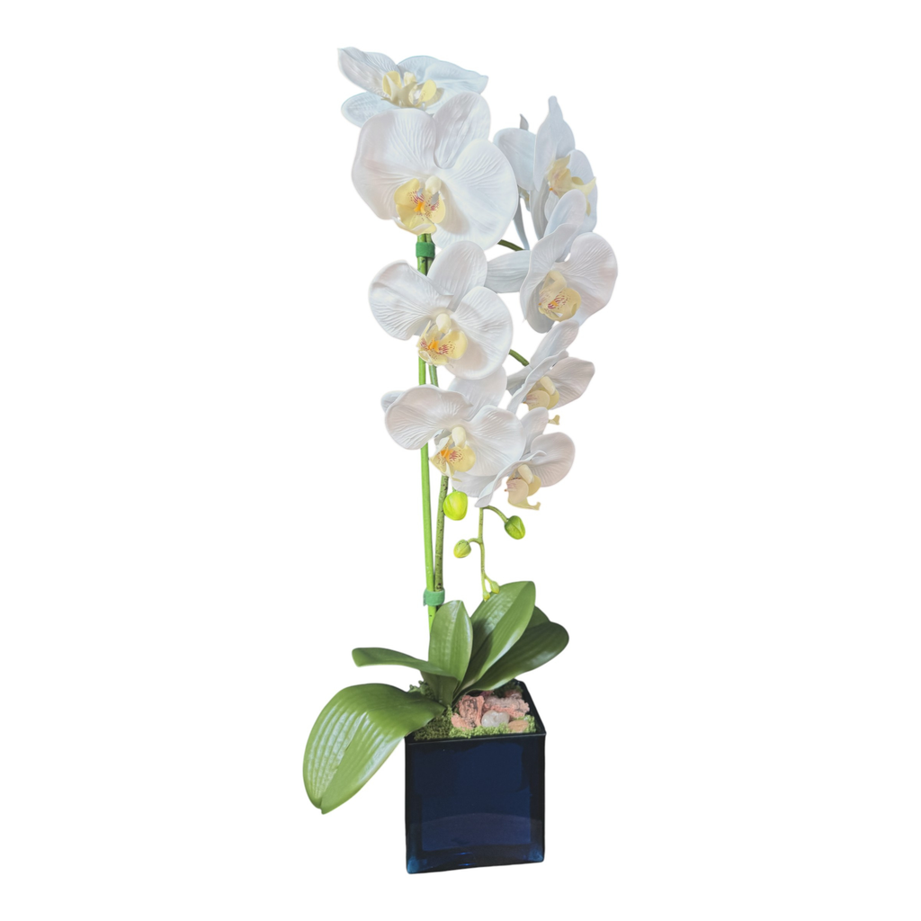 Artificial Single Stem White Orchid Arrangement in Blue Glass Cube Planter | Faux Phalaenopsis Floral Decor