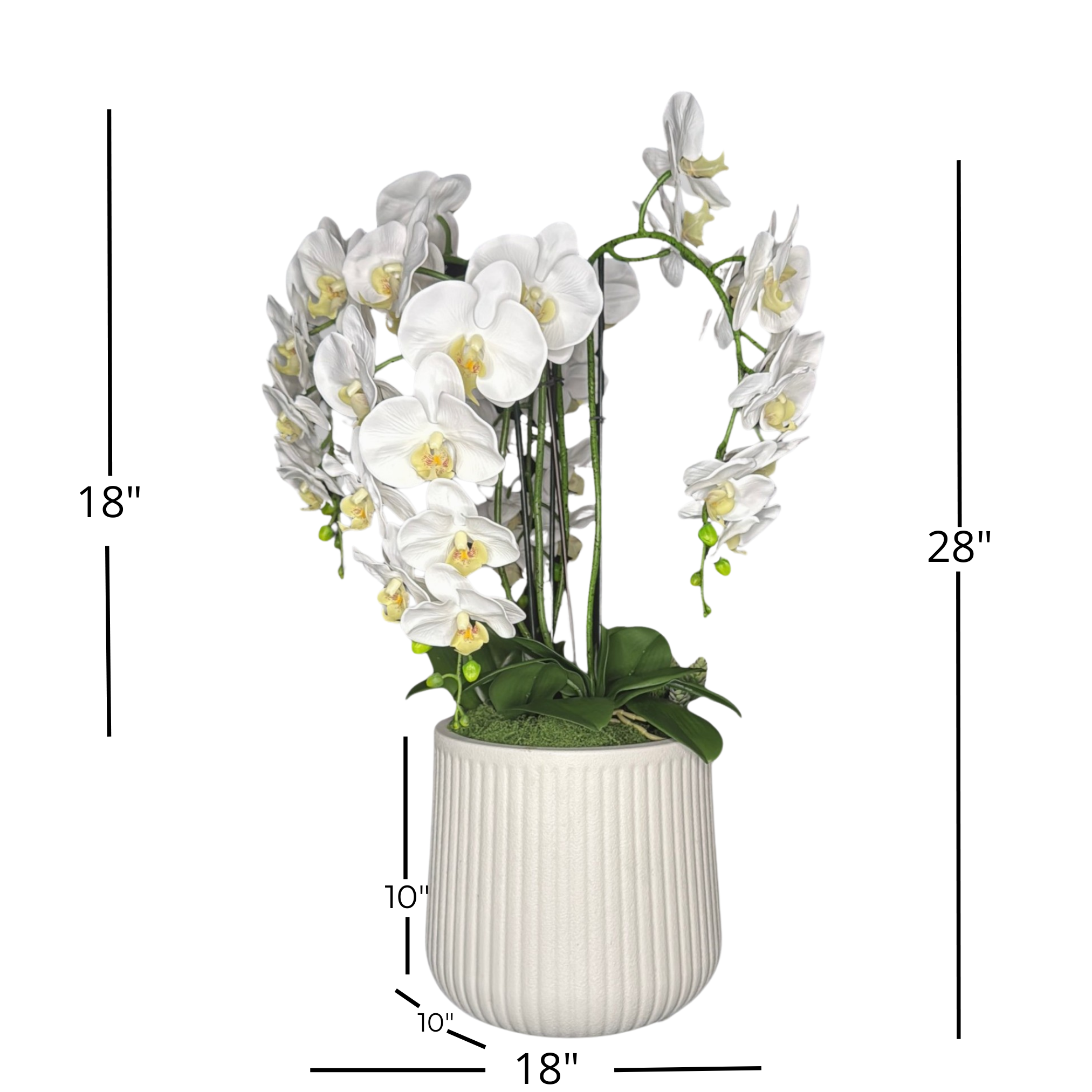 28 Inch Artificial White Orchid Arrangement, 4 Stem Phalaenopsis with Real Touch Latex Flowers, Textured White Pot with Faux Moss, Home Office Decor