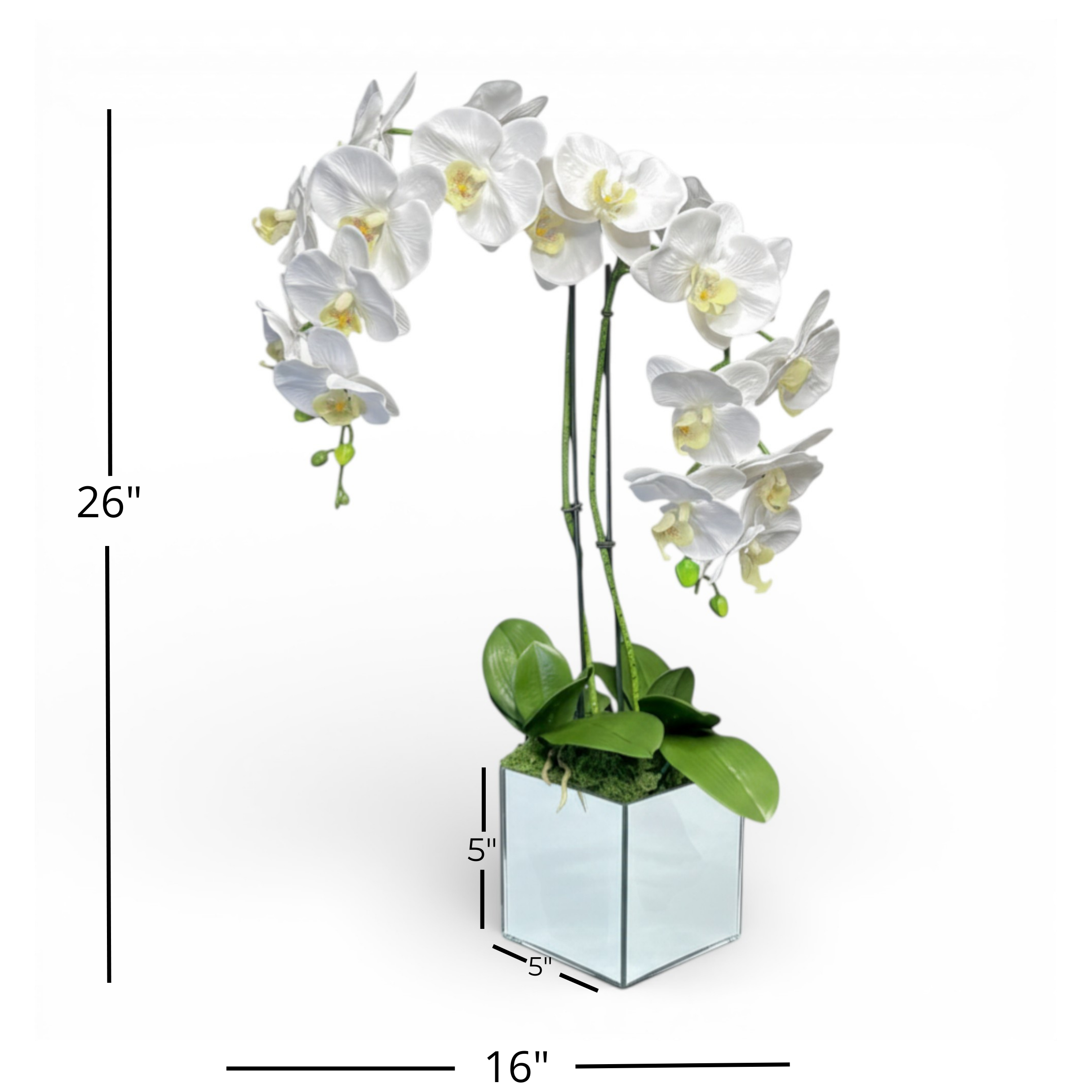 Artificial White Orchid Arrangement, Double Stem Real Touch Latex Phalaenopsis in Mirror Glass Cube Planter, Luxury Faux Orchid for Modern Home & Office Decor