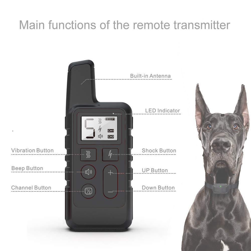 Rechargeable Remote Dog Training Collar - The Room Collective