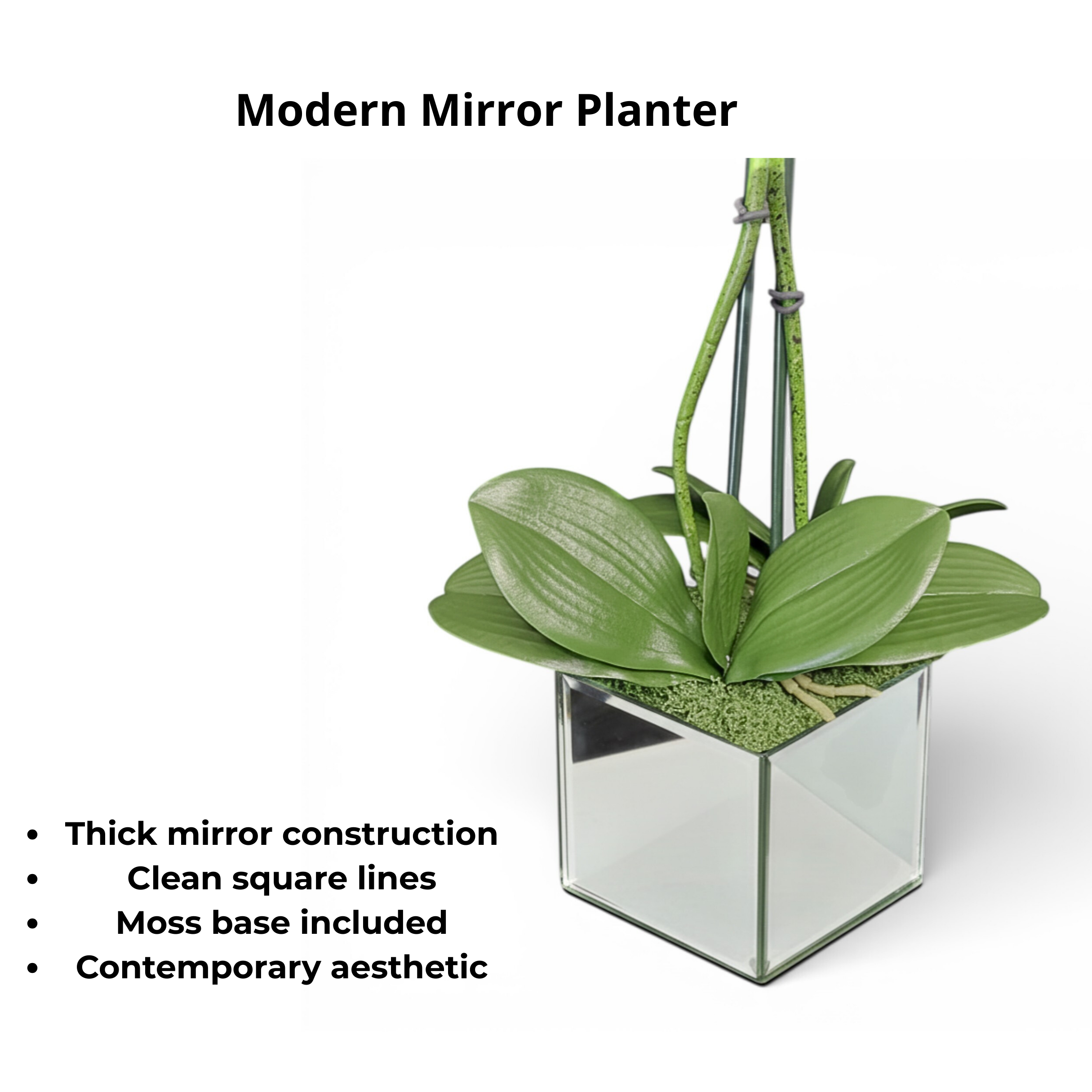 Artificial White Orchid Arrangement, Double Stem Real Touch Latex Phalaenopsis in Mirror Glass Cube Planter, Luxury Faux Orchid for Modern Home & Office Decor