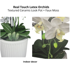 28 Inch Artificial White Orchid Arrangement, 4 Stem Phalaenopsis with Real Touch Latex Flowers, Textured White Pot with Faux Moss, Home Office Decor