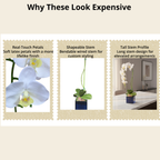 Artificial Single Stem White Orchid Arrangement in Blue Glass Cube Planter, Faux Phalaenopsis Floral Decor, Modern Home Office Desk Decoration