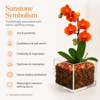 Live Orange Mini Phalaenopsis Orchid Plant in Clear Acrylic Cube Planter with Natural Sunstone Crystal Accents