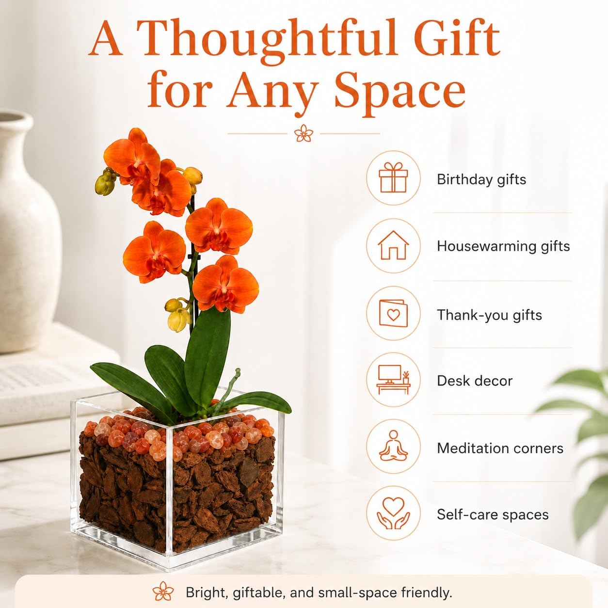 Live Orange Mini Phalaenopsis Orchid Plant in Clear Acrylic Cube Planter with Natural Sunstone Crystal Accents