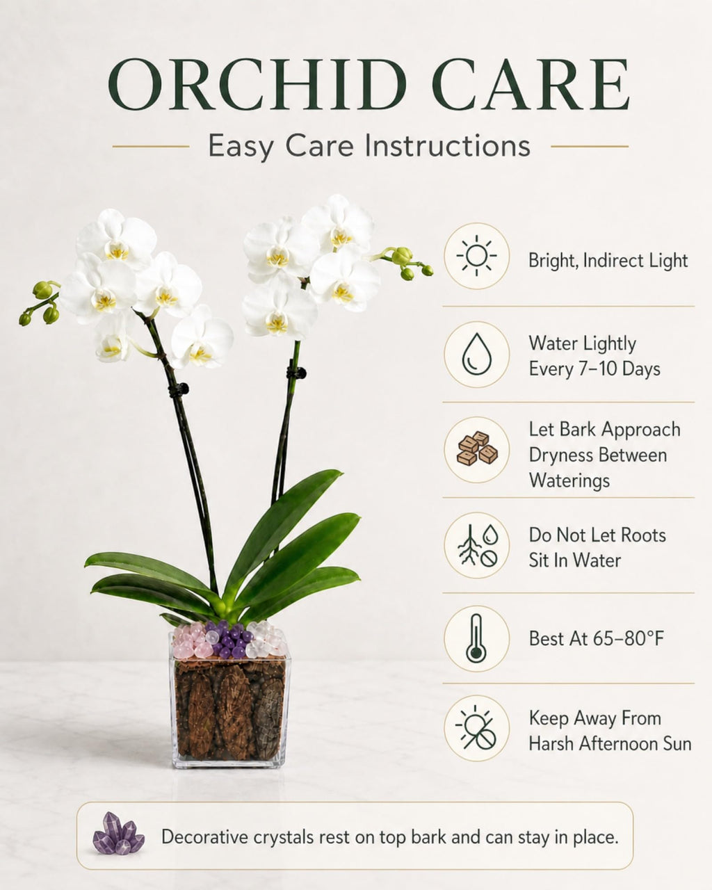 Not a Grocery Store Orchid Live Phalaenopsis Arrangement, Mother’s Day Gift with Rose Quartz, Clear Quartz & Amethyst, White or Pink Blooms, Double or Triple Stem