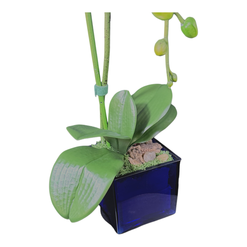 Artificial Single Stem White Orchid Arrangement in Blue Glass Cube Planter | Faux Phalaenopsis Floral Decor