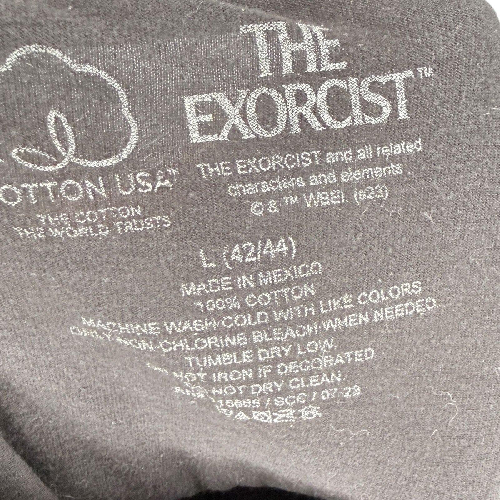 The Exorcist Men's Graphic T-Shirt Neon Green Pazuzu Statue Poster Art Black Siz