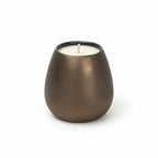 Autumn Hearth — Spiced Vanilla Hearth Candle