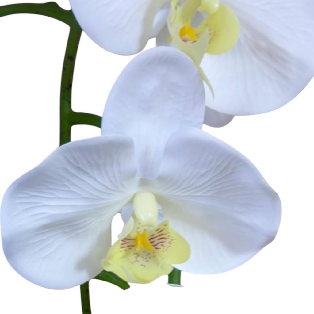 Artificial Single Stem White Orchid Arrangement in Blue Glass Cube Planter | Faux Phalaenopsis Floral Decor