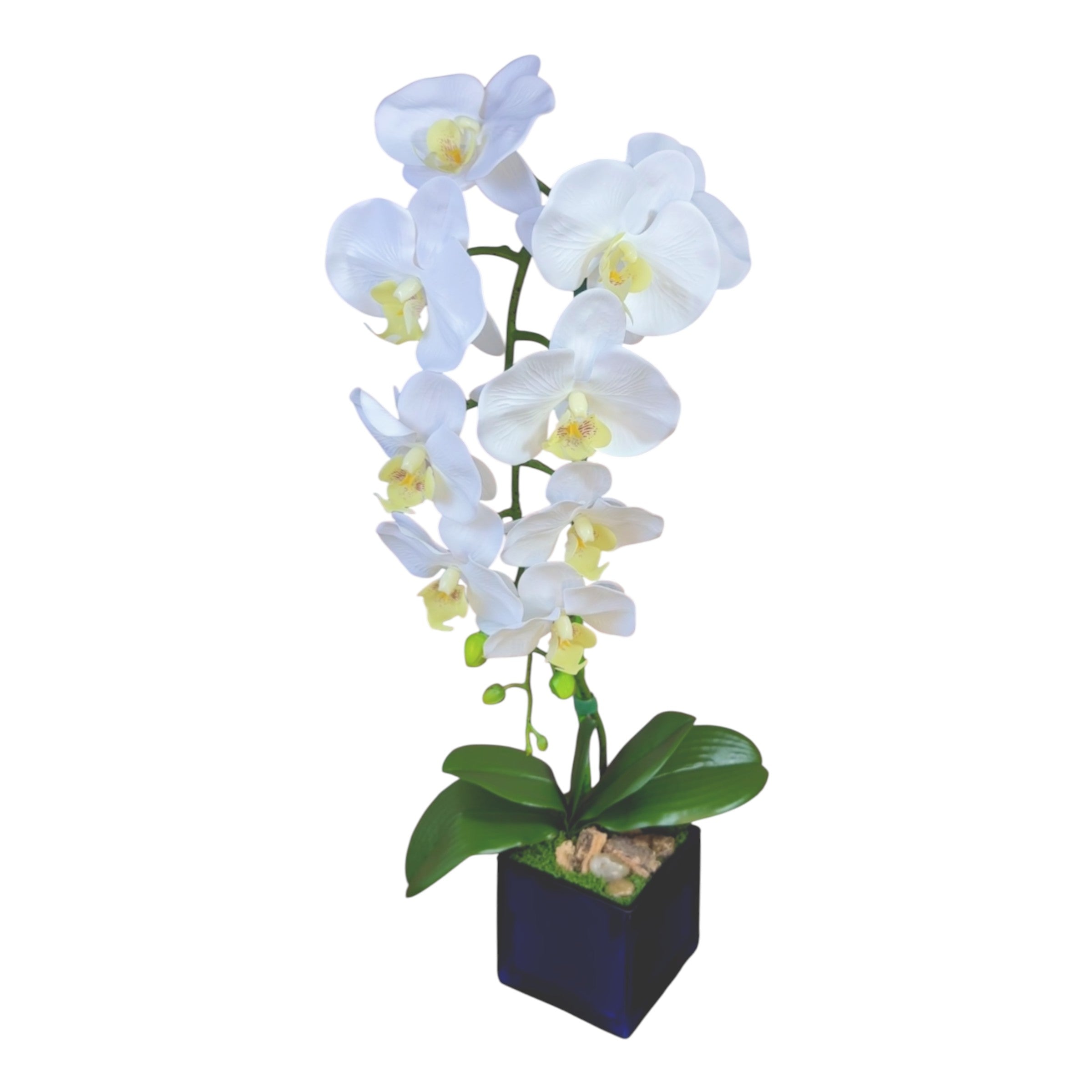 Artificial Single Stem White Orchid Arrangement in Blue Glass Cube Planter | Faux Phalaenopsis Floral Decor