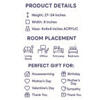 Live Double Stem Phalaenopsis Orchid Plant - Premium Indoor Flowering Plant with Crystal Accents, Easy Care Houseplant for Home Office Decor