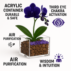 Mystic Vision - Third Eye Chakra Mini Orchid Garden