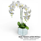 Artificial white orchid double stem arrangement - gallery image 2