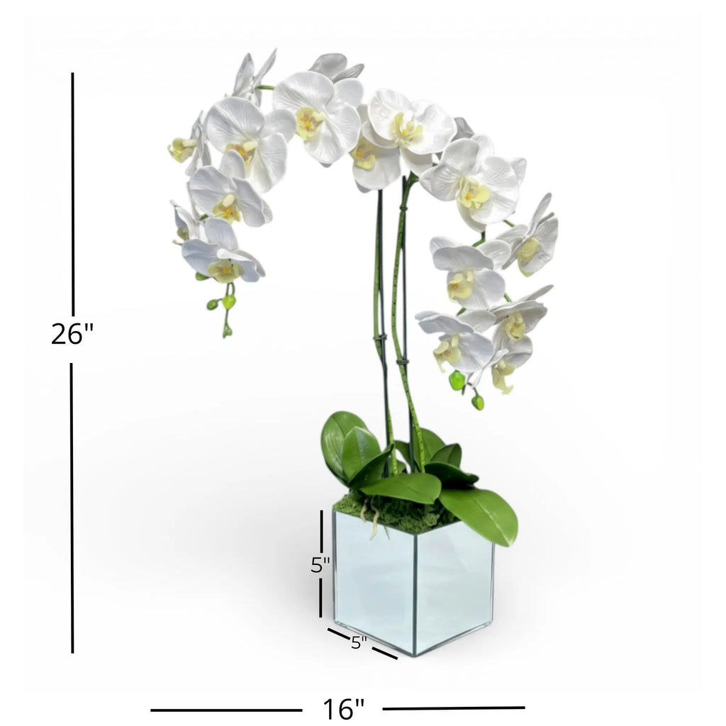 Artificial white orchid double stem arrangement - gallery image 4