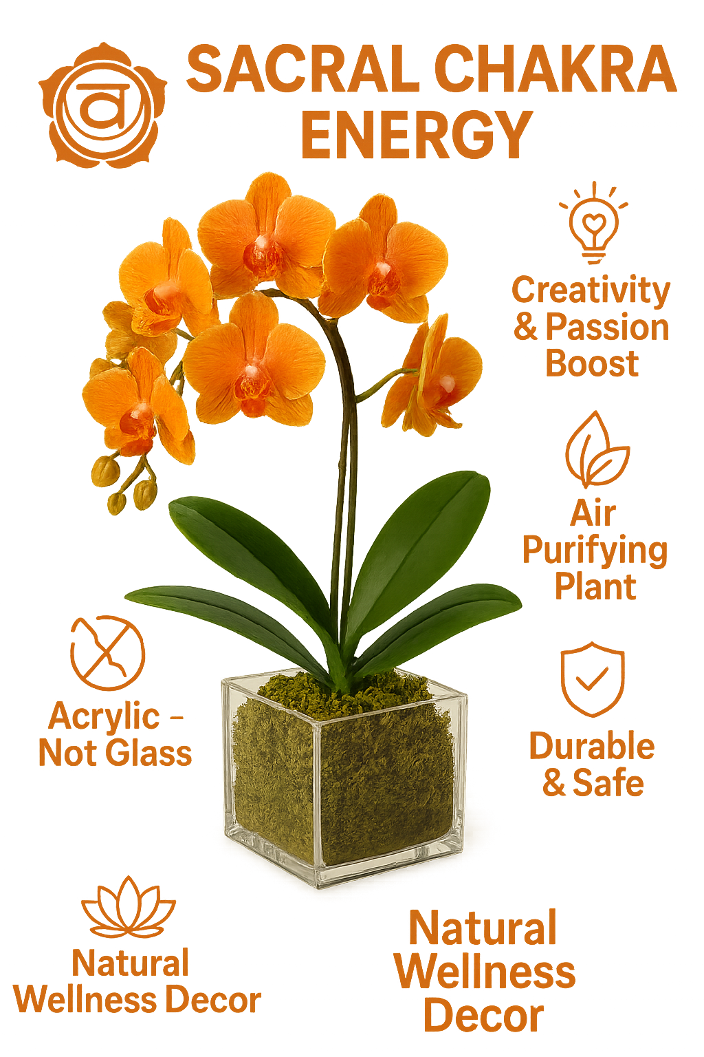 Creative Flow - Sacral Chakra Mini Orchid Garden