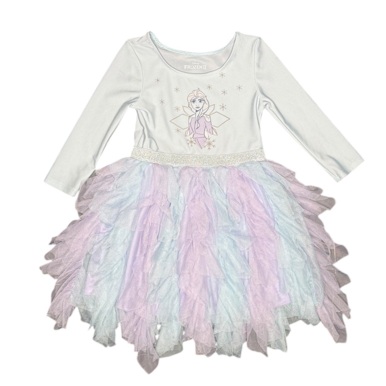 Disney Frozen II Elsa Girls Long Sleeve Tiered Tulle Dress