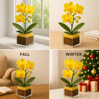Inner Fire - Solar Plexus Chakra Mini Orchid Garden