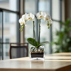 Premium White Phalaenopsis Orchid Plant with clear quartz - gallery image 6