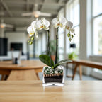 Premium White Phalaenopsis Orchid Plant with clear quartz - gallery image 7
