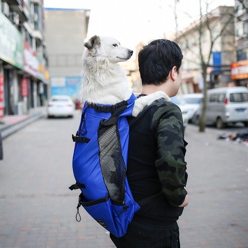 Outdoor Pet Travel Backpack Carrier - The Room Collective