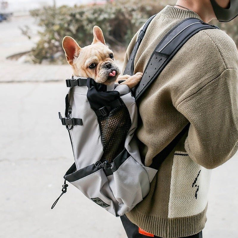 Outdoor Pet Travel Backpack Carrier - The Room Collective