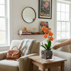 The Room Collective orange mini phalaenopsis orchid in a clear acrylic vase with carnelian crystal accent.