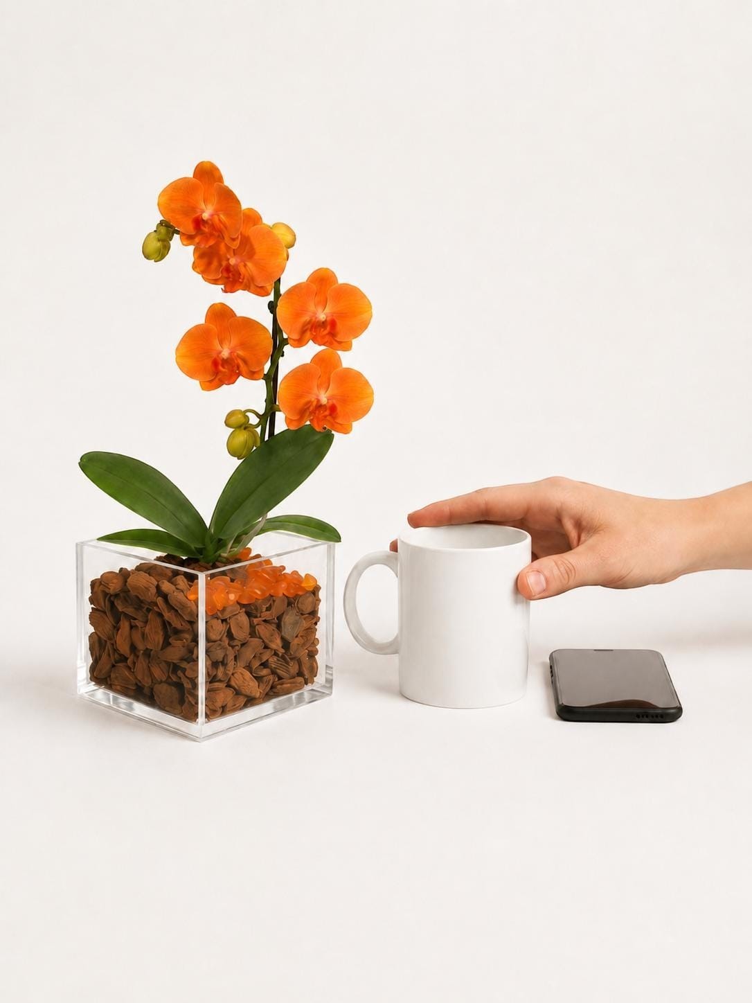 The Room Collective orange mini orchid in acrylic vase with carnelian crystals, a white mug, and a smartphone.