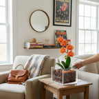 The Room Collective orange mini phalaenopsis orchid in a clear acrylic vase with carnelian stones, styled on a side table.