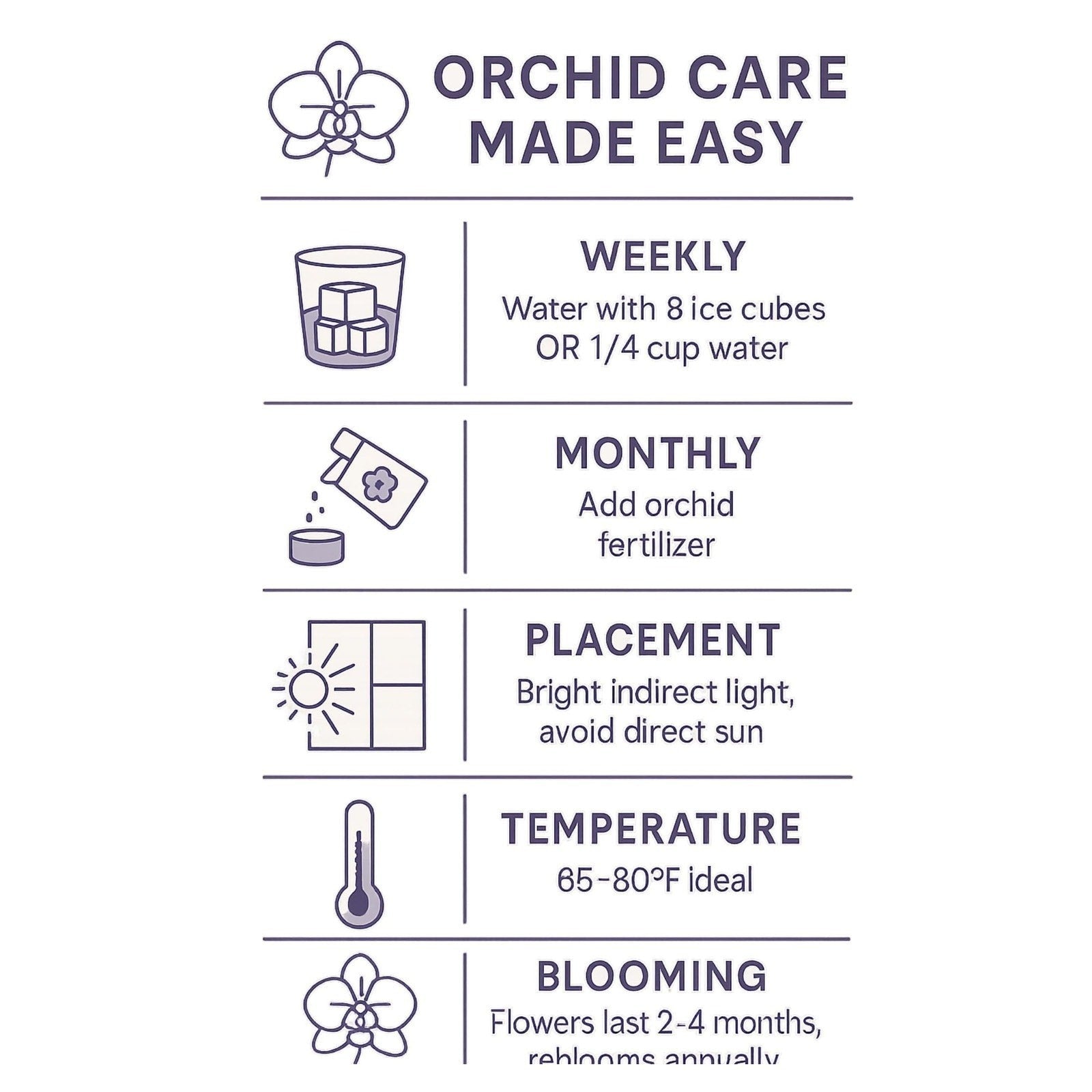 The Room Collective orchid care guide: weekly watering with ice cubes or water, monthly fertilizing, placement in bright indirect light, ideal temperature 65-80F, and blooming duration.
