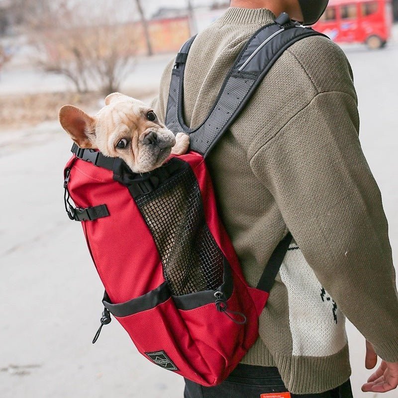 Outdoor Pet Travel Backpack Carrier - The Room Collective