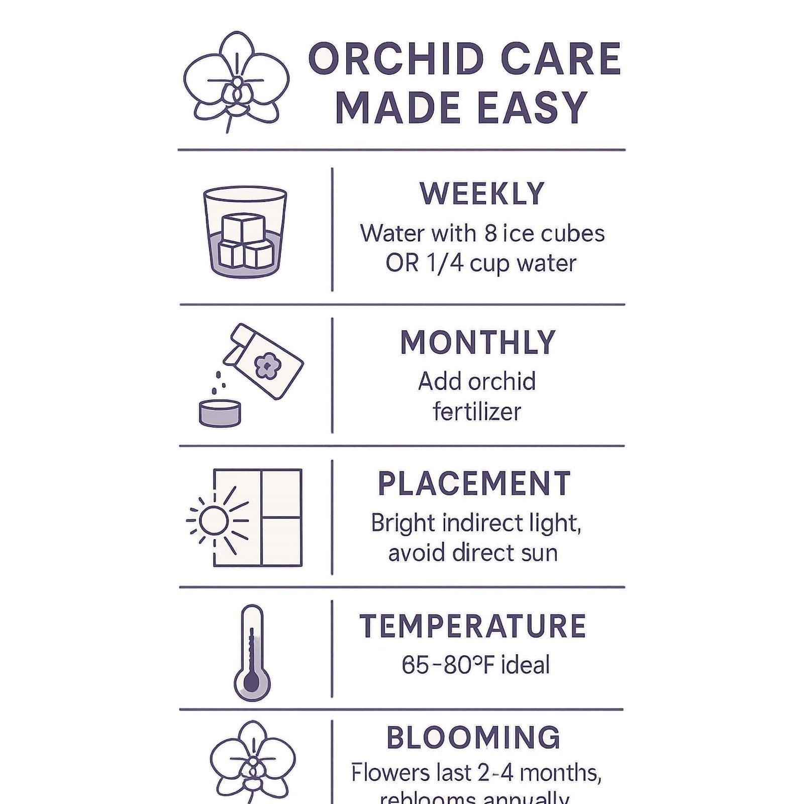 The Room Collective orchid care guide: weekly watering with ice cubes or water, monthly fertilizer, bright indirect light placement, 65-80F temperature, and 2-4 month blooming period.